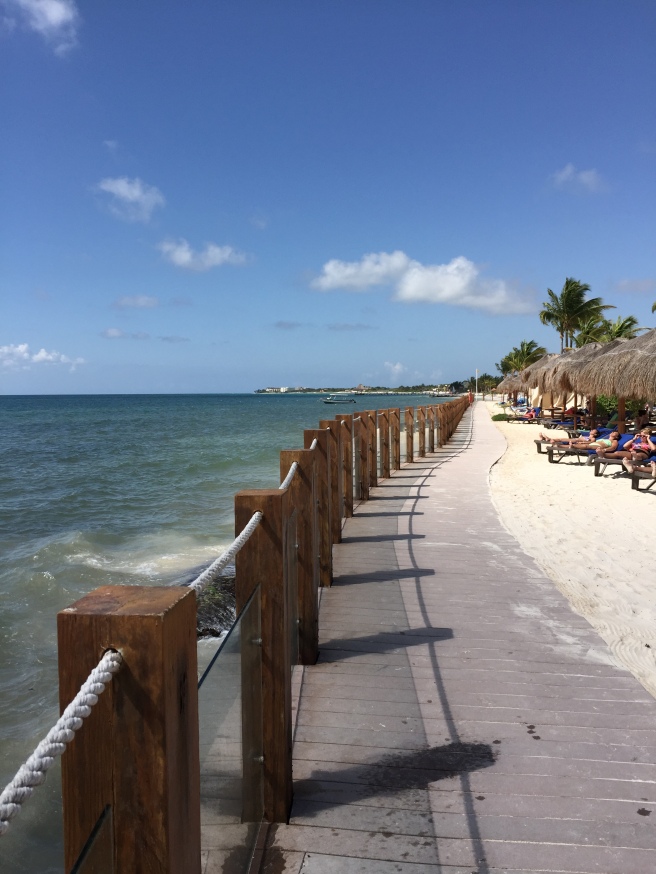 ocean maya beach